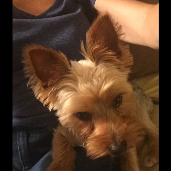 Meet your Posher, Colleen - Picture 1 of 1